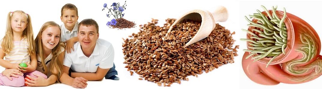 Folk treatments for pests for family health