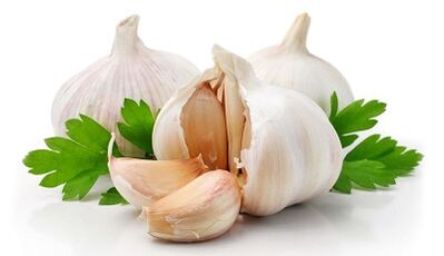The use of garlic against the pests in the liver