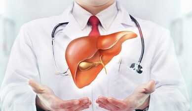 Types of pests in the human liver