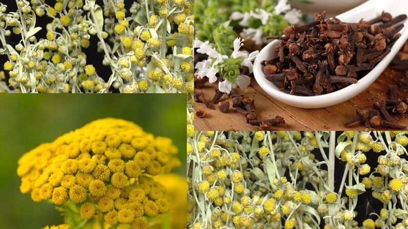 Folk remedies for pests