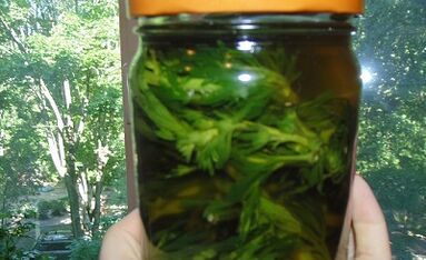 Herbal tincture to remove the parasites from the body